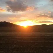 食卓にパンを