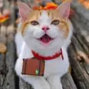 ゆきー