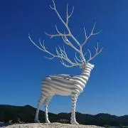 プチプチ