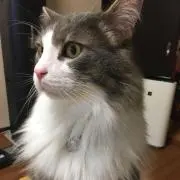 かなちゃぴん⭐︎