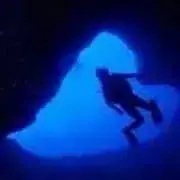 いくみんの画像