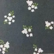 nikoの画像