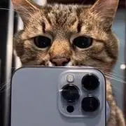 い