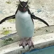 朴槿恵の画像