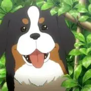 しいの画像