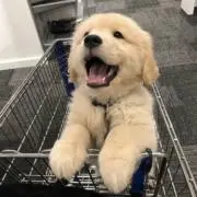 uuu uukiの画像