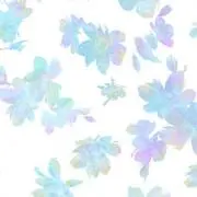 きなとの画像