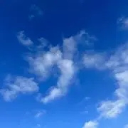 ヤハの画像