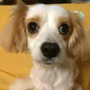 hiko【購入前にプロフを読んでね】の画像