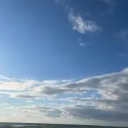 バズ