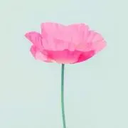 tiffany*の画像