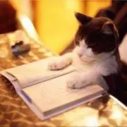 おらおらふの画像