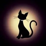 猫すけの画像