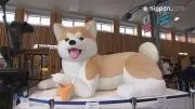 瓜の画像