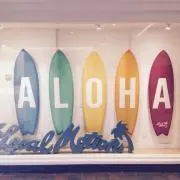 みぃの画像