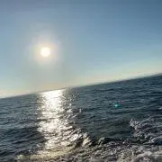 アルティメイトの画像