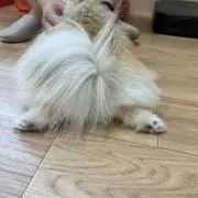 momの画像