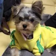ともまま