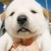 みなこ