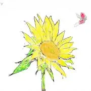 るーかす☆feの画像