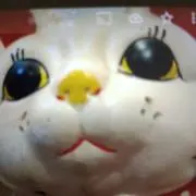シルバースターの画像