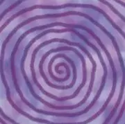 ぶろこの画像