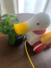 シナモンの画像