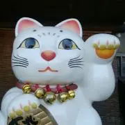カリカリの画像