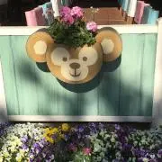 たらこの画像