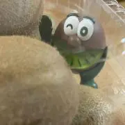 ニャンチュウの画像