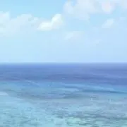 Luneの画像