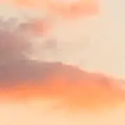 ゴエの画像