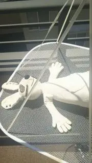もこ