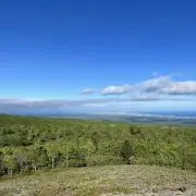 Hideの画像
