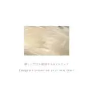 Ele nailtip【匿名配送 現品】の画像