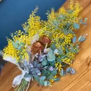 mimosa⚮̈﻿