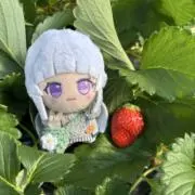 ウトの画像
