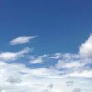 さく丸の画像