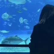 聖蘭