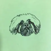 あもにの画像