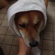 まる