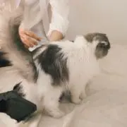 iqbwnuの画像