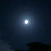 くまさん
