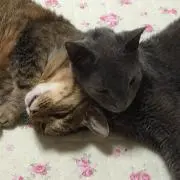Noël❤︎天然石入りハーバリウム❤︎