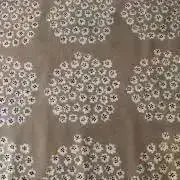 coco5Ｈの画像