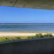 かんの画像
