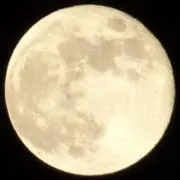 10Mt4の画像