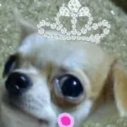 ゆっこ
