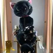 猫ちゃんの画像