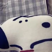 m⑅﻿の画像